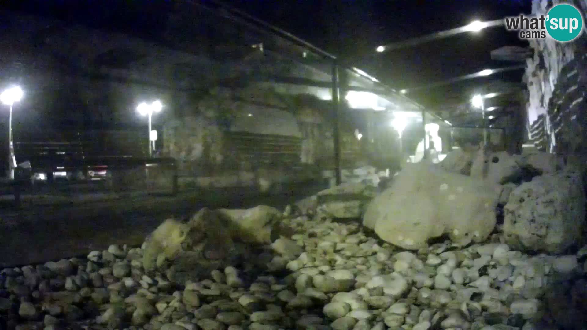 Marine Aquarium im Freien Rogoznica webcam Kroatien