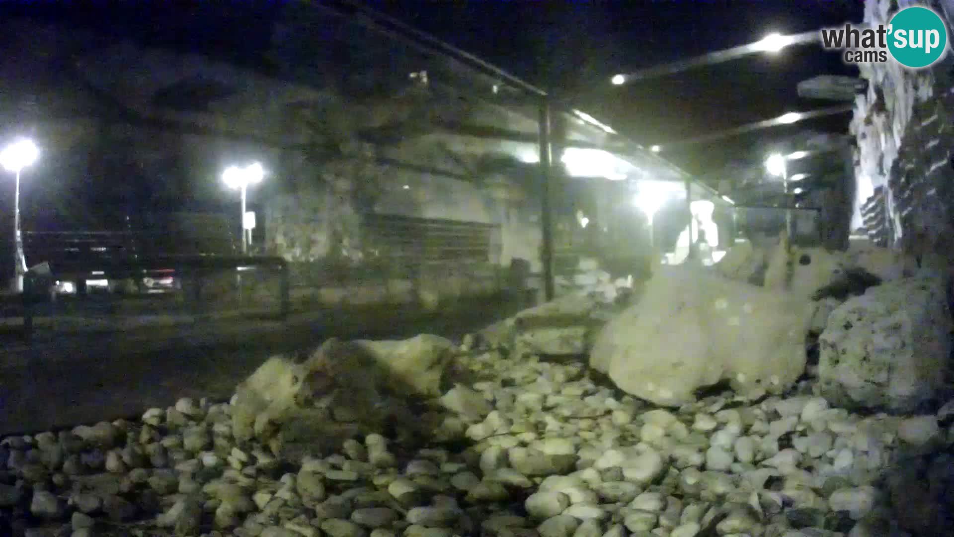 Zunanji morski akvarij Rogoznica spletna kamera Hrvaška