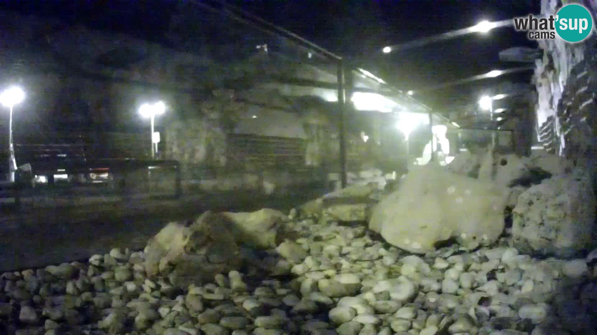 Webcam de l’aquarium marin extérieur de Rogoznica Croatie