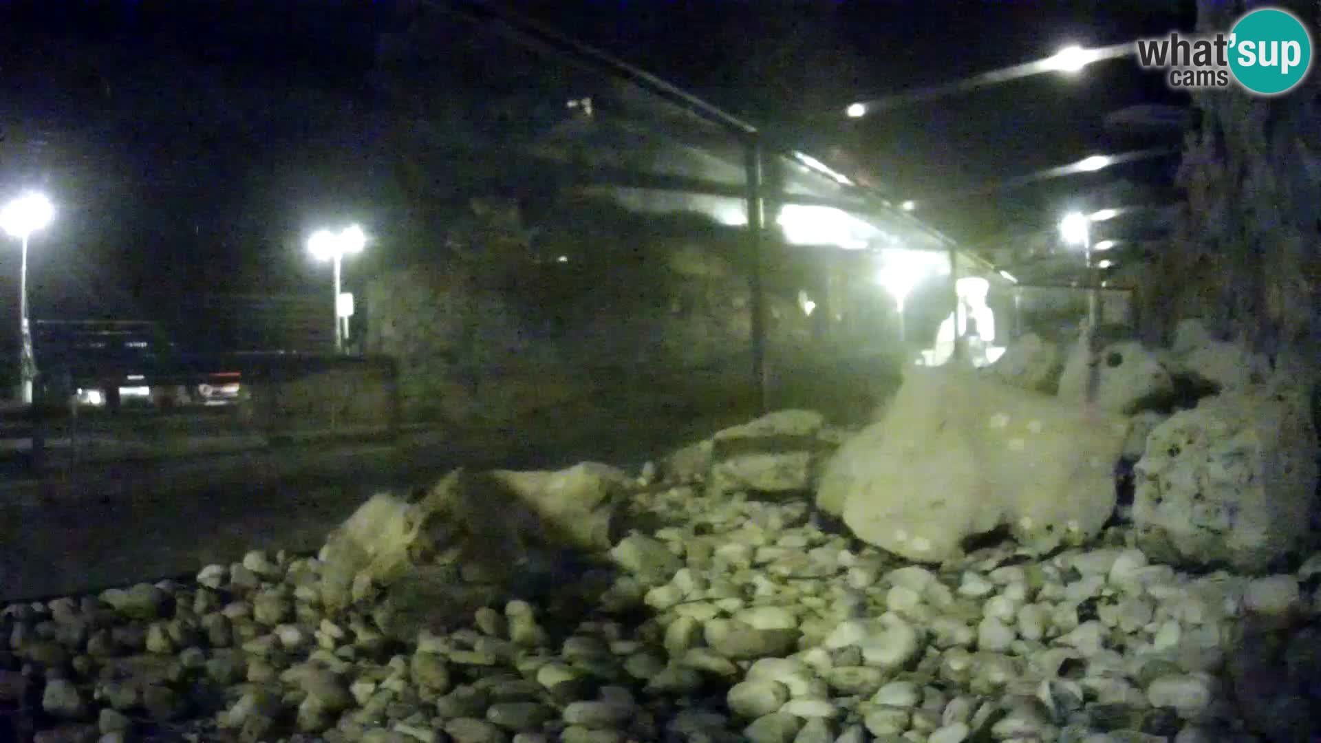 Outdoor Marine Aquarium Rogoznica webcam Croatia