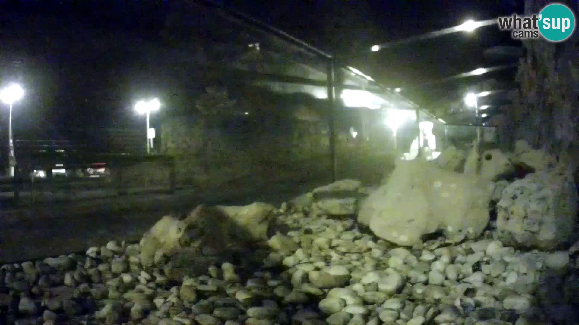 Vanjski morski akvarij Rogoznica web kamera Hrvatska