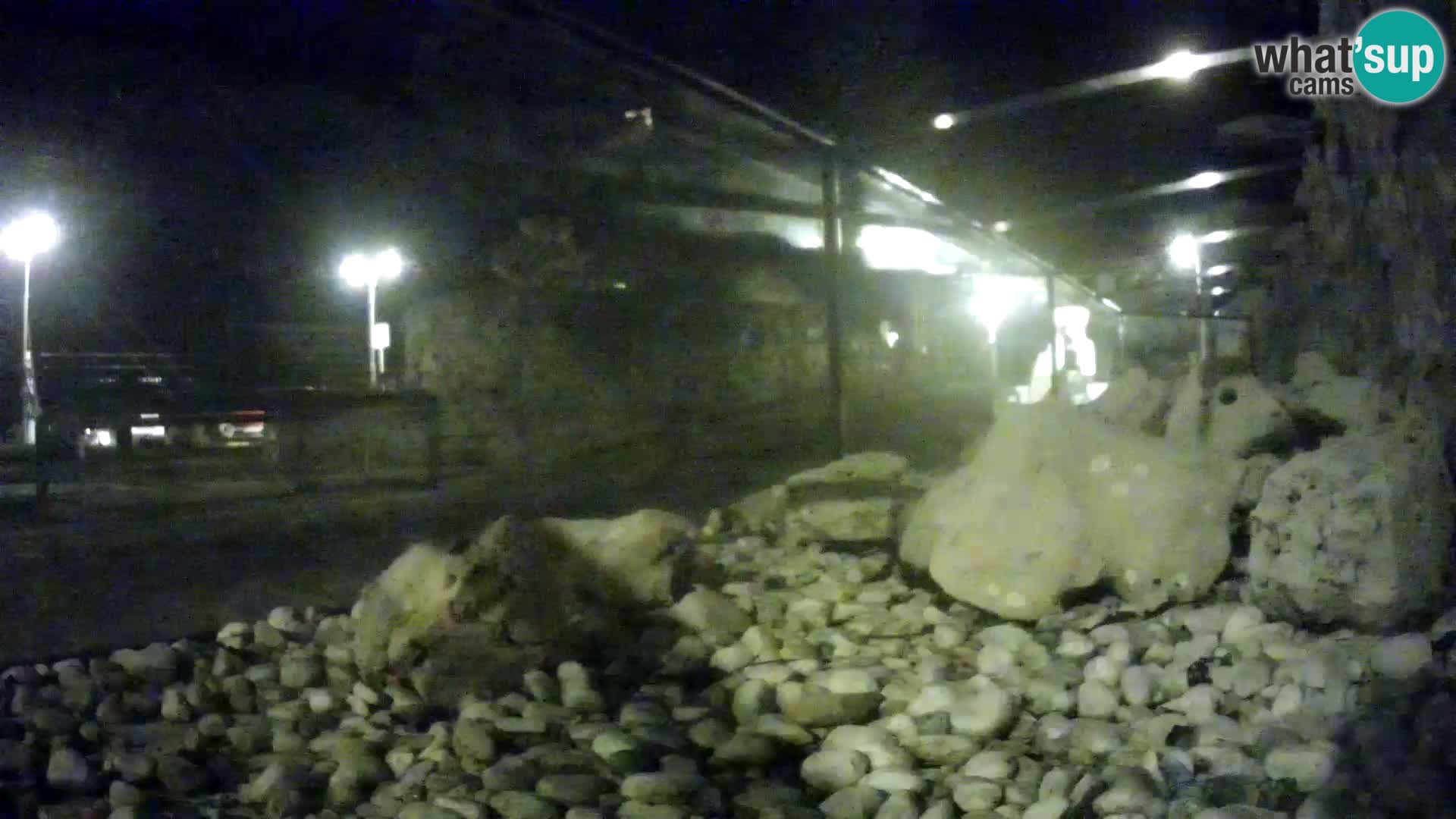 Marine Aquarium im Freien Rogoznica webcam Kroatien