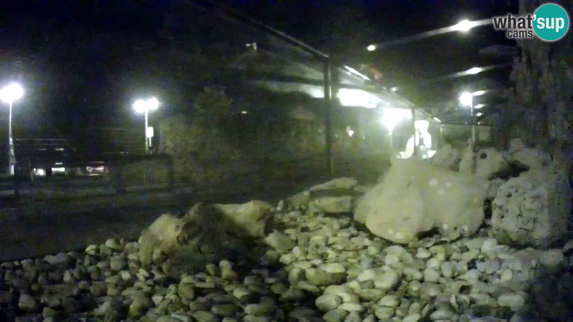 Outdoor Marine Aquarium Rogoznica webcam Croatia