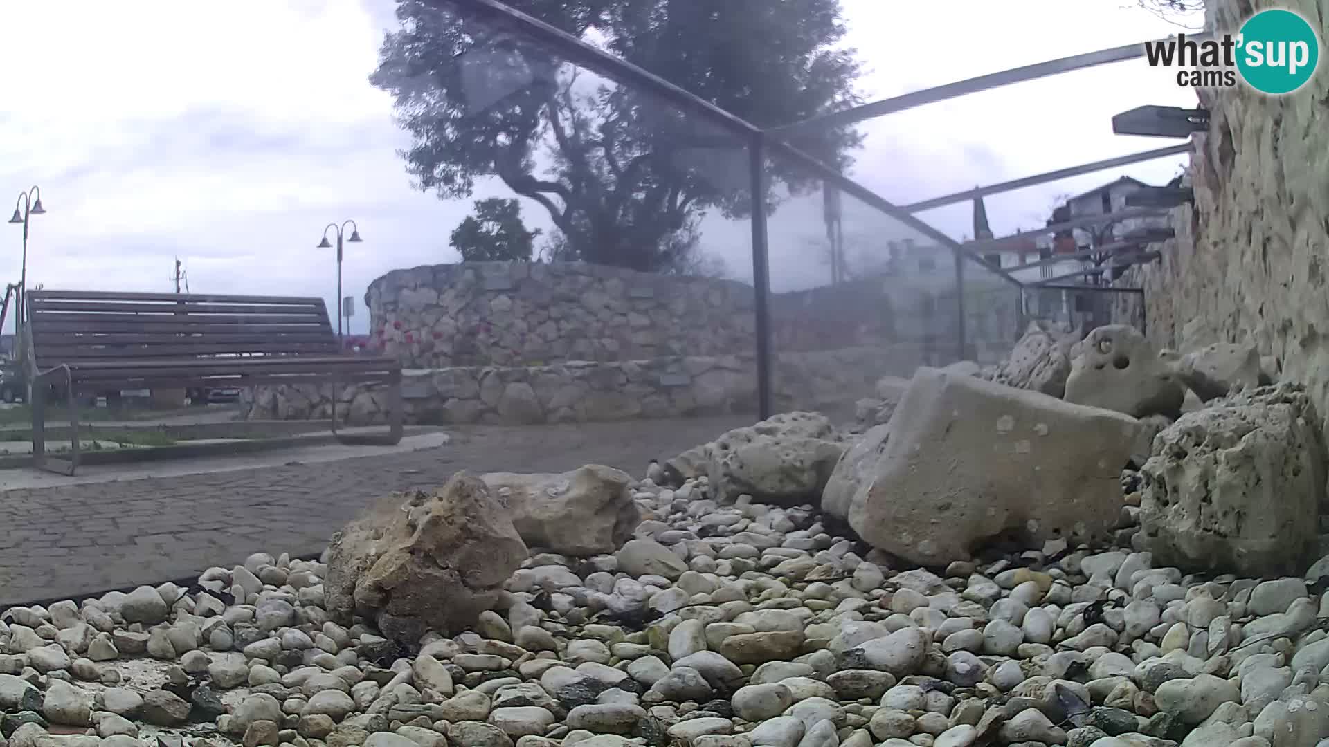 Outdoor Marine Aquarium Rogoznica webcam Croatia