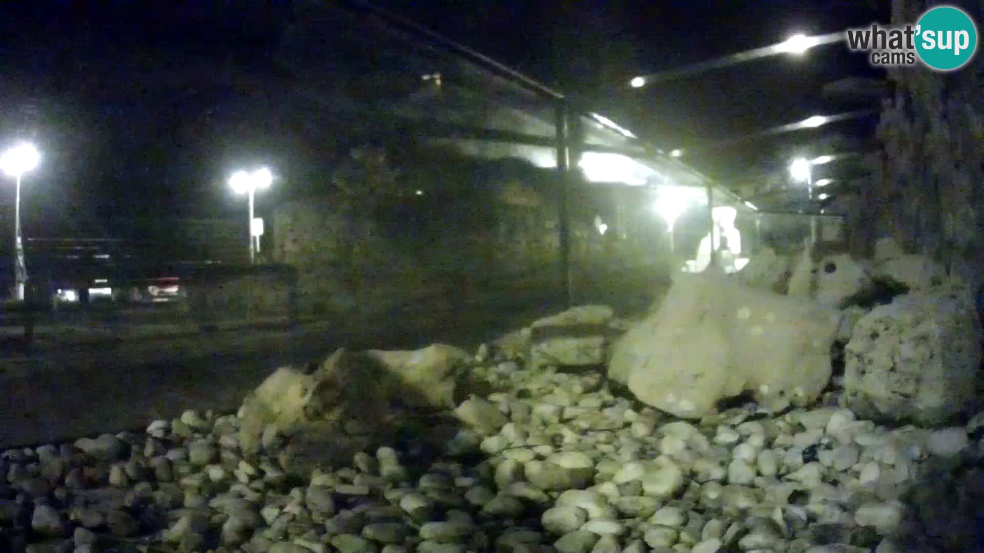 Aquario marino esterno –  Rogoznica livecam Croazia