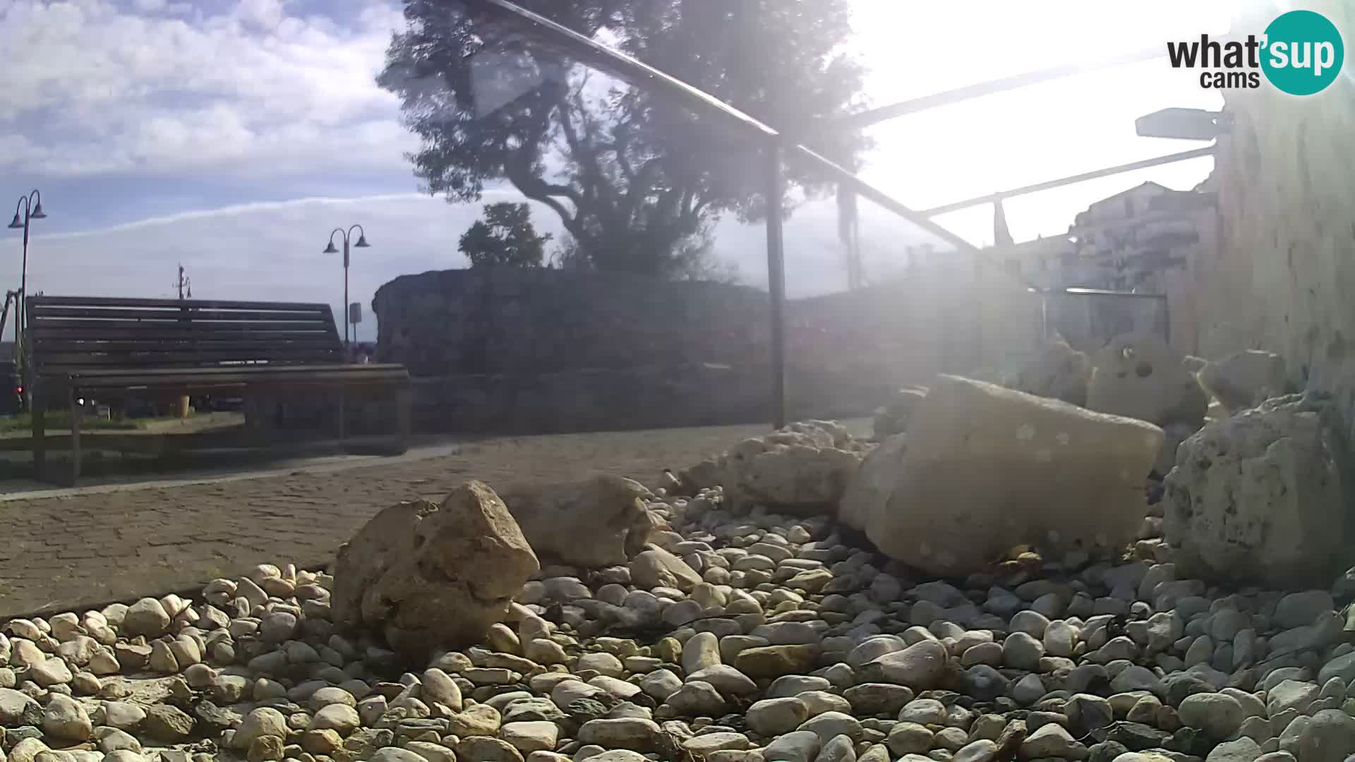 Acuario marino al aire libre Rogoznica webcam Croacia