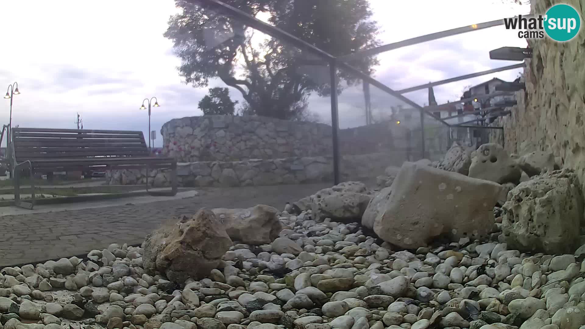 Outdoor Marine Aquarium Rogoznica webcam Croatia