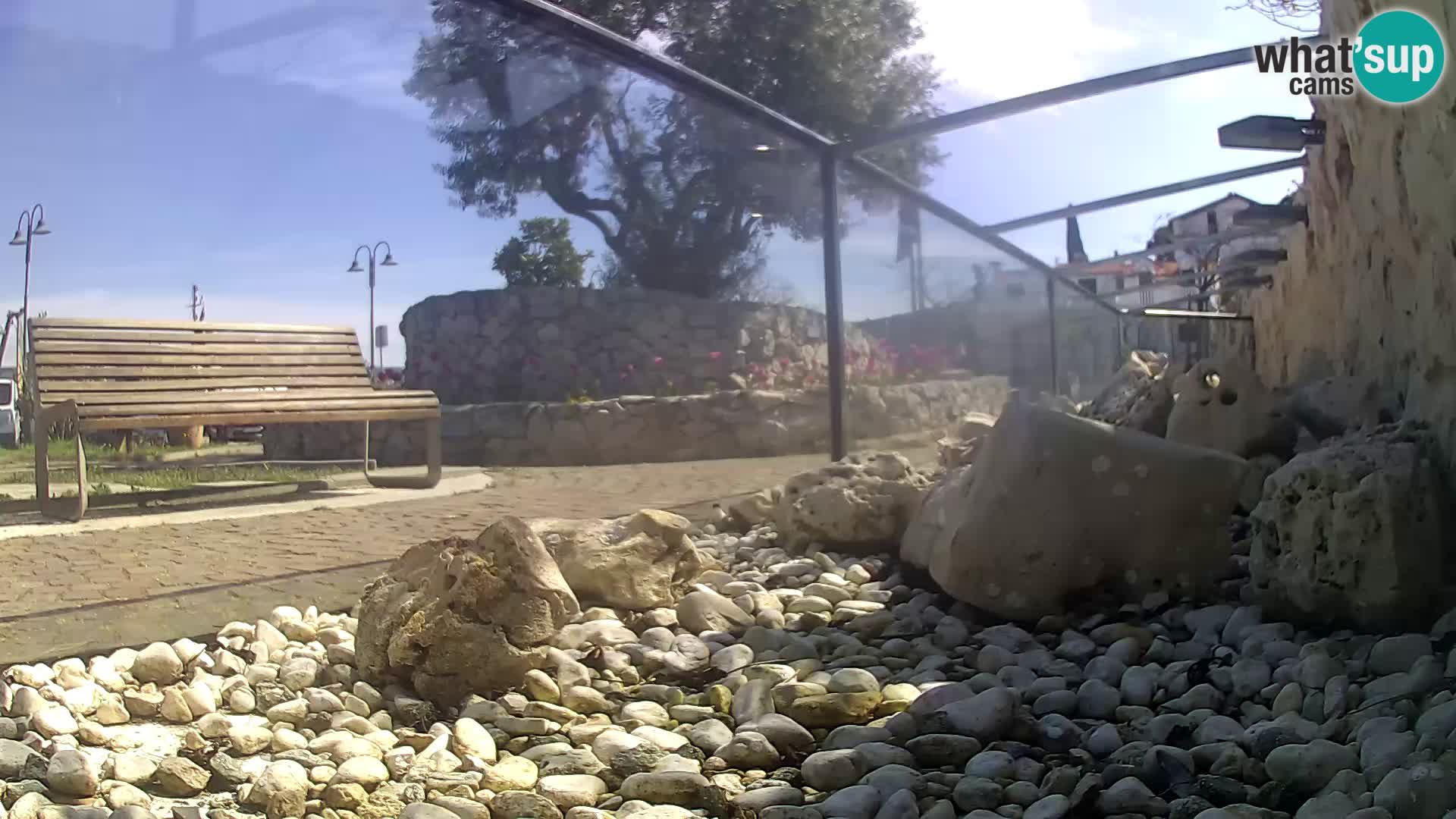 Outdoor Marine Aquarium Rogoznica webcam Croatia