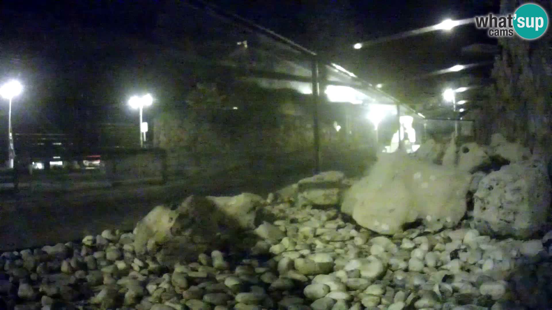 Acuario marino al aire libre Rogoznica webcam Croacia