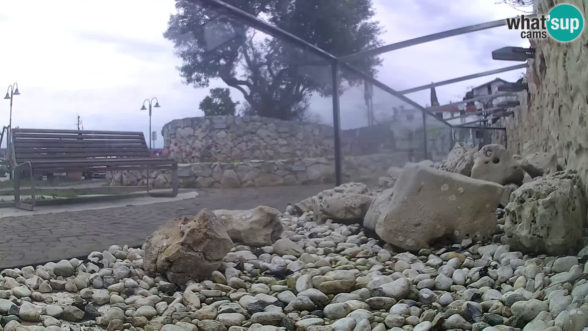 Outdoor Marine Aquarium Rogoznica webcam Croatia