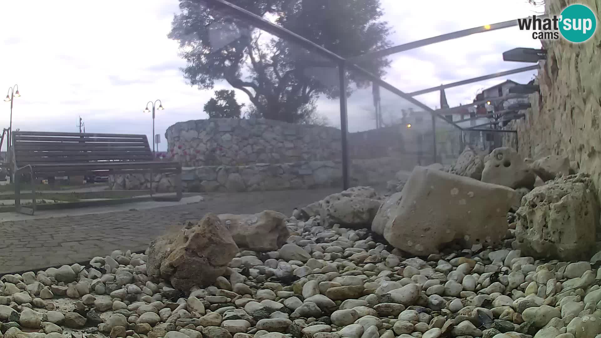 Outdoor Marine Aquarium Rogoznica webcam Croatia