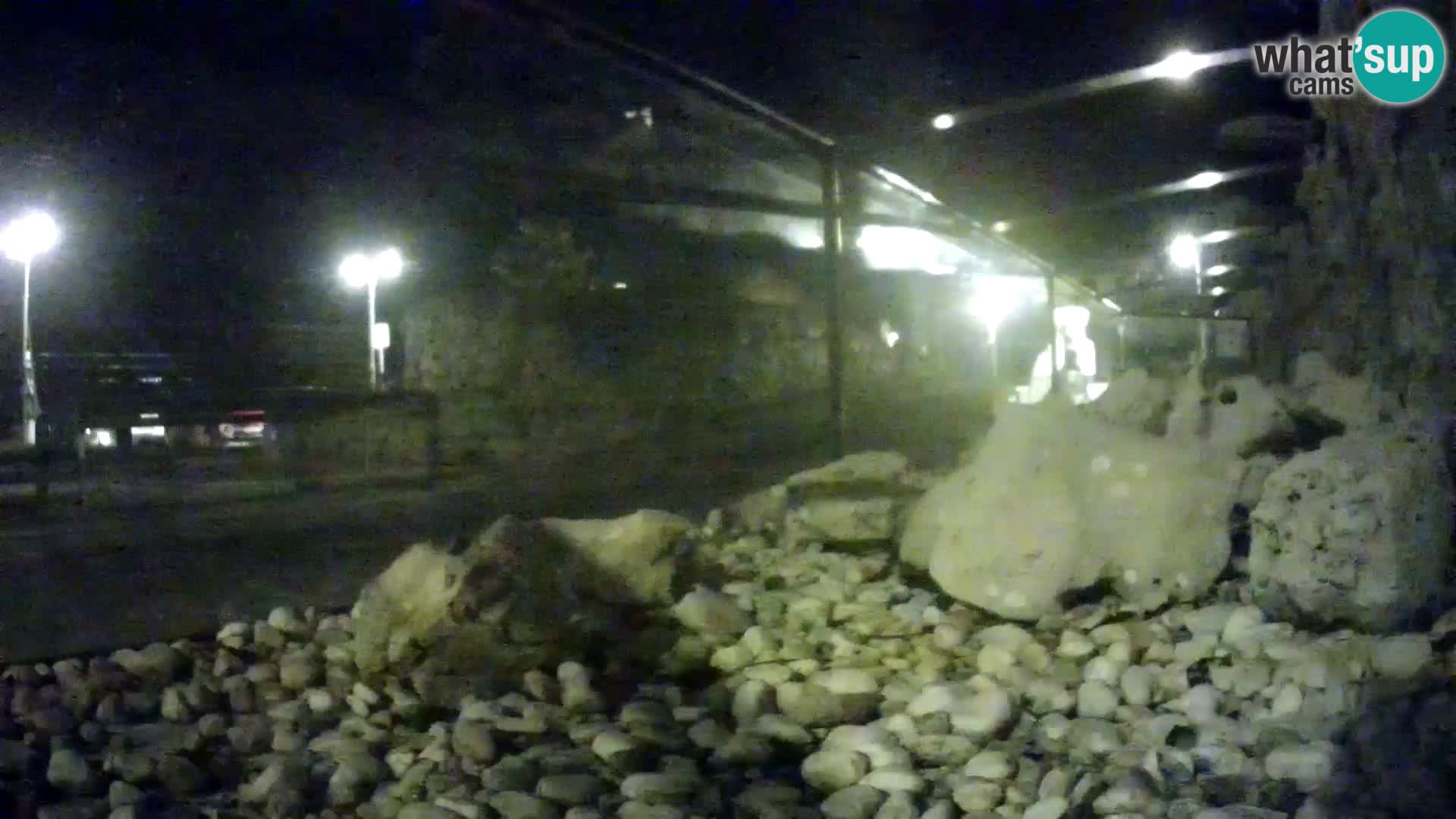 Webcam de l’aquarium marin extérieur de Rogoznica Croatie