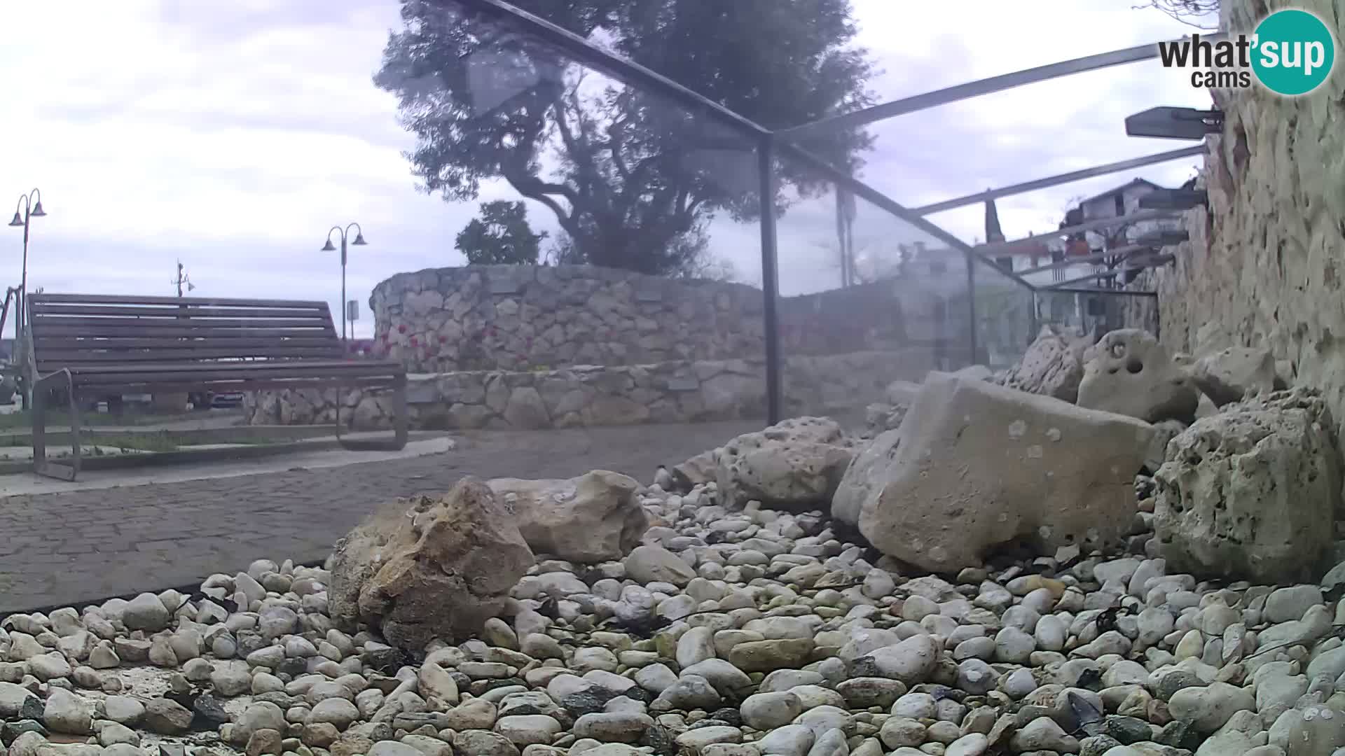 Outdoor Marine Aquarium Rogoznica webcam Croatia