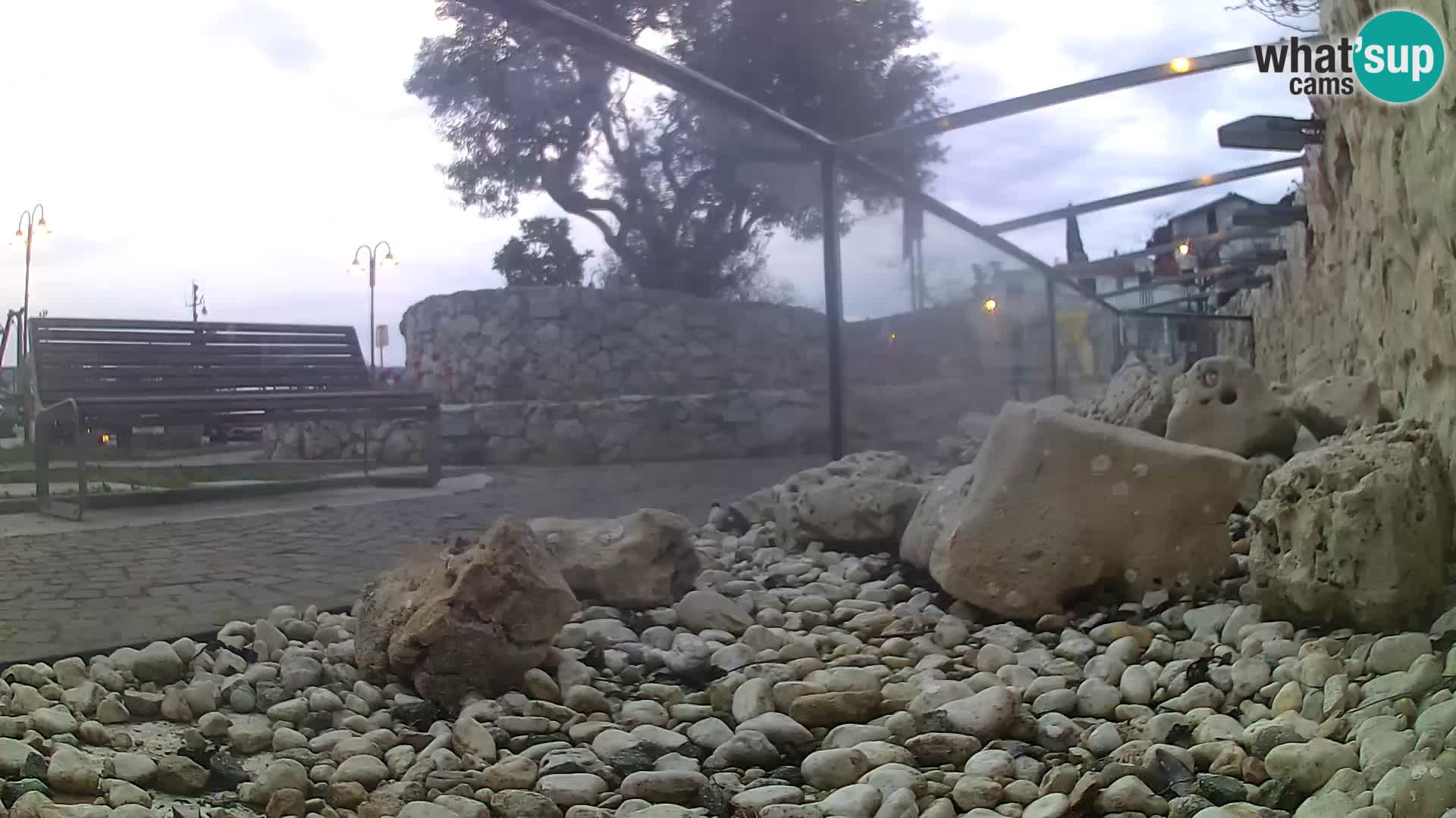 Acuario marino al aire libre Rogoznica webcam Croacia