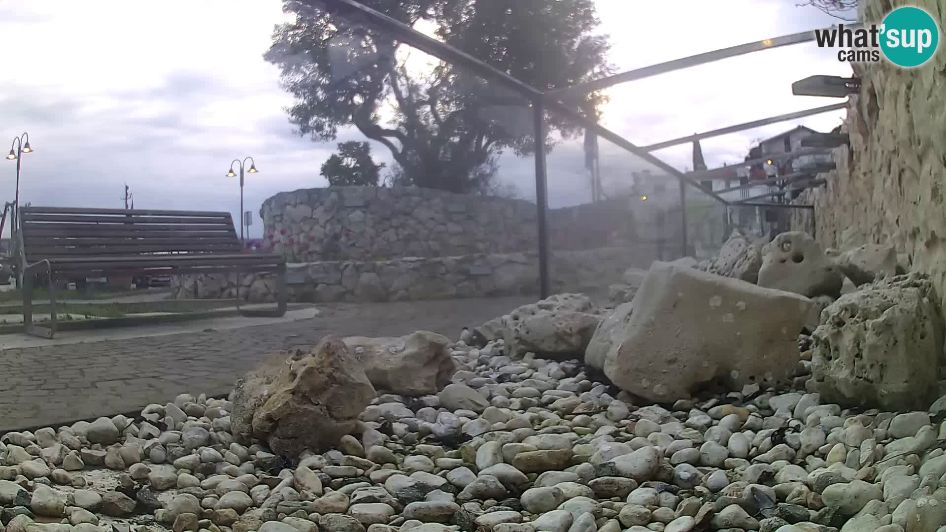 Webcam de l’aquarium marin extérieur de Rogoznica Croatie