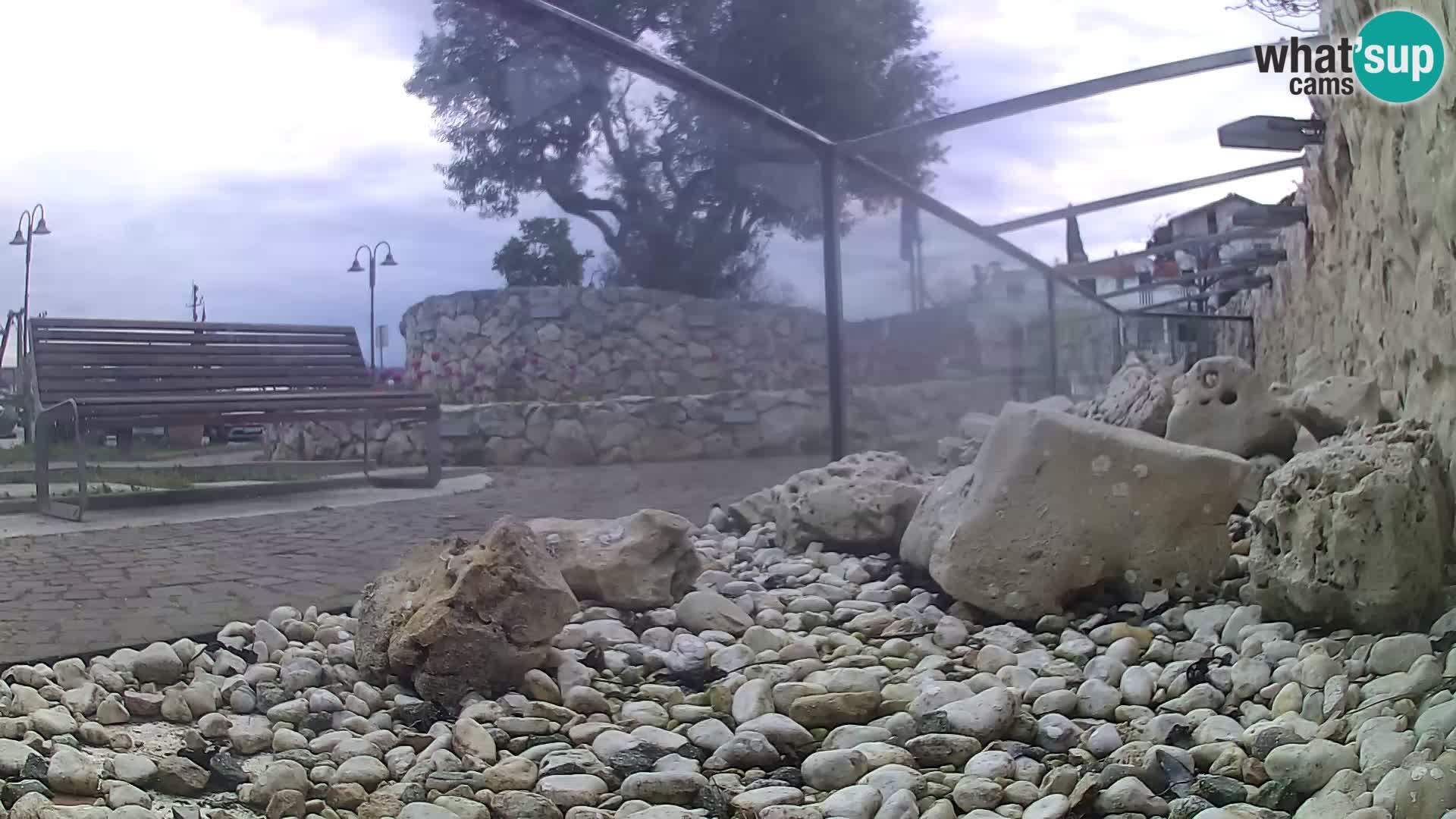 Acuario marino al aire libre Rogoznica webcam Croacia