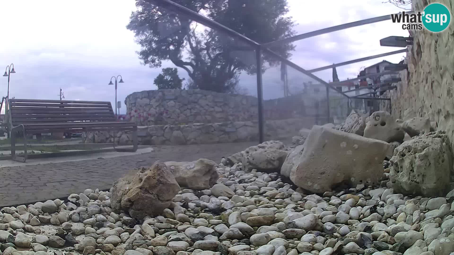 Zunanji morski akvarij Rogoznica spletna kamera Hrvaška