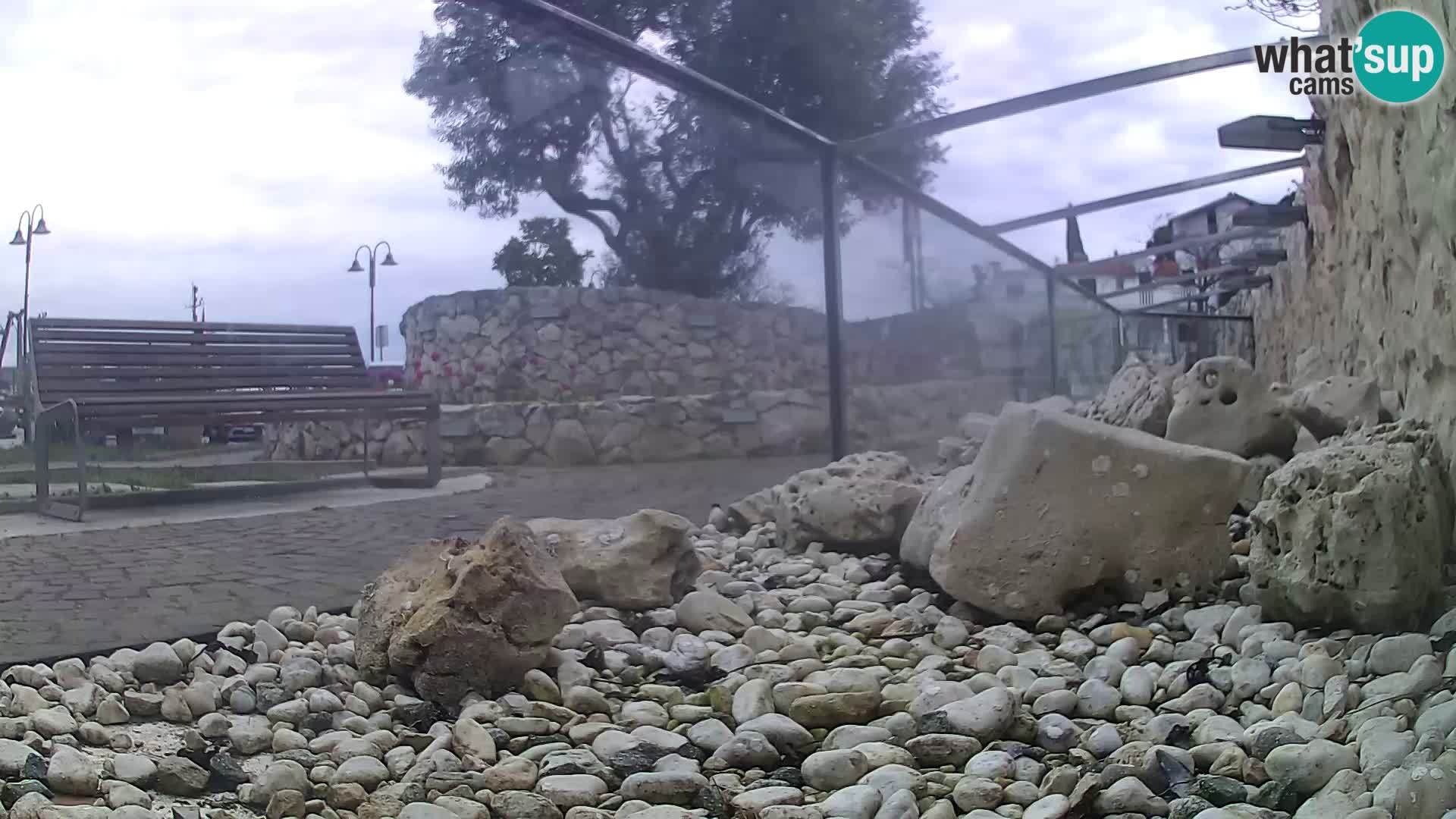 Webcam de l’aquarium marin extérieur de Rogoznica Croatie