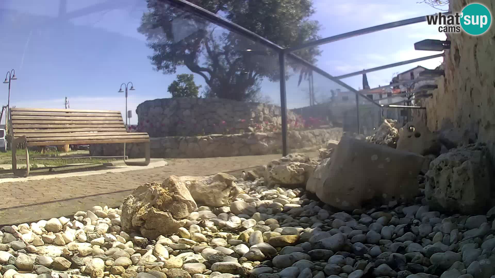 Vanjski morski akvarij Rogoznica web kamera Hrvatska