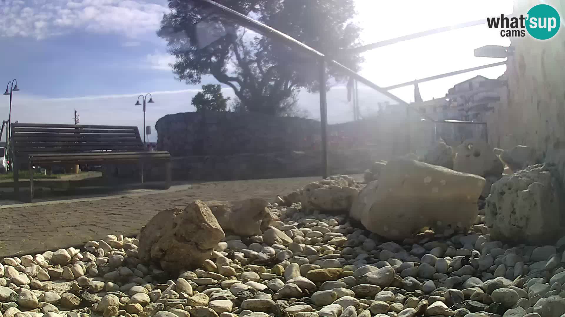 Outdoor Marine Aquarium Rogoznica webcam Croatia