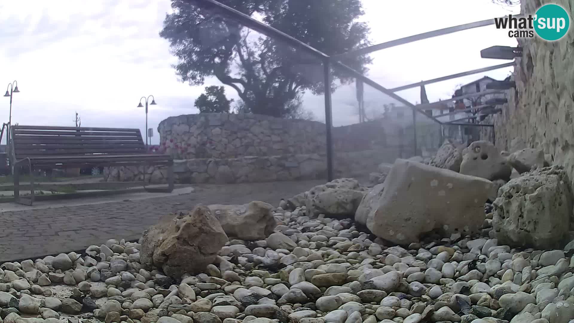 Outdoor Marine Aquarium Rogoznica webcam Croatia