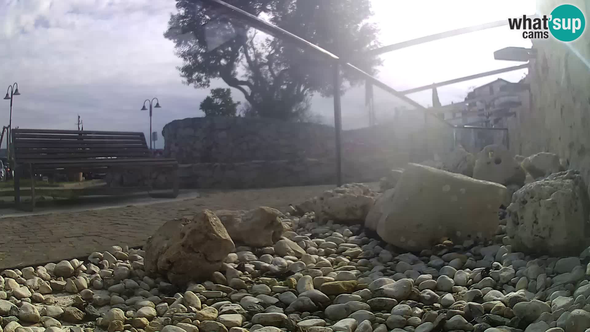 Marine Aquarium im Freien Rogoznica webcam Kroatien