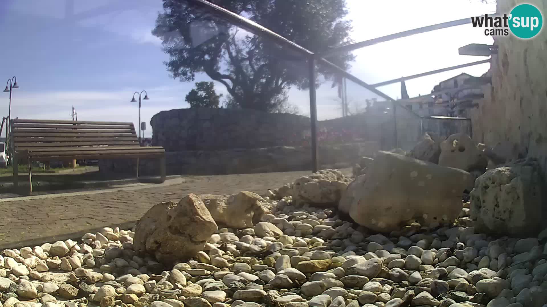 Outdoor Marine Aquarium Rogoznica webcam Croatia