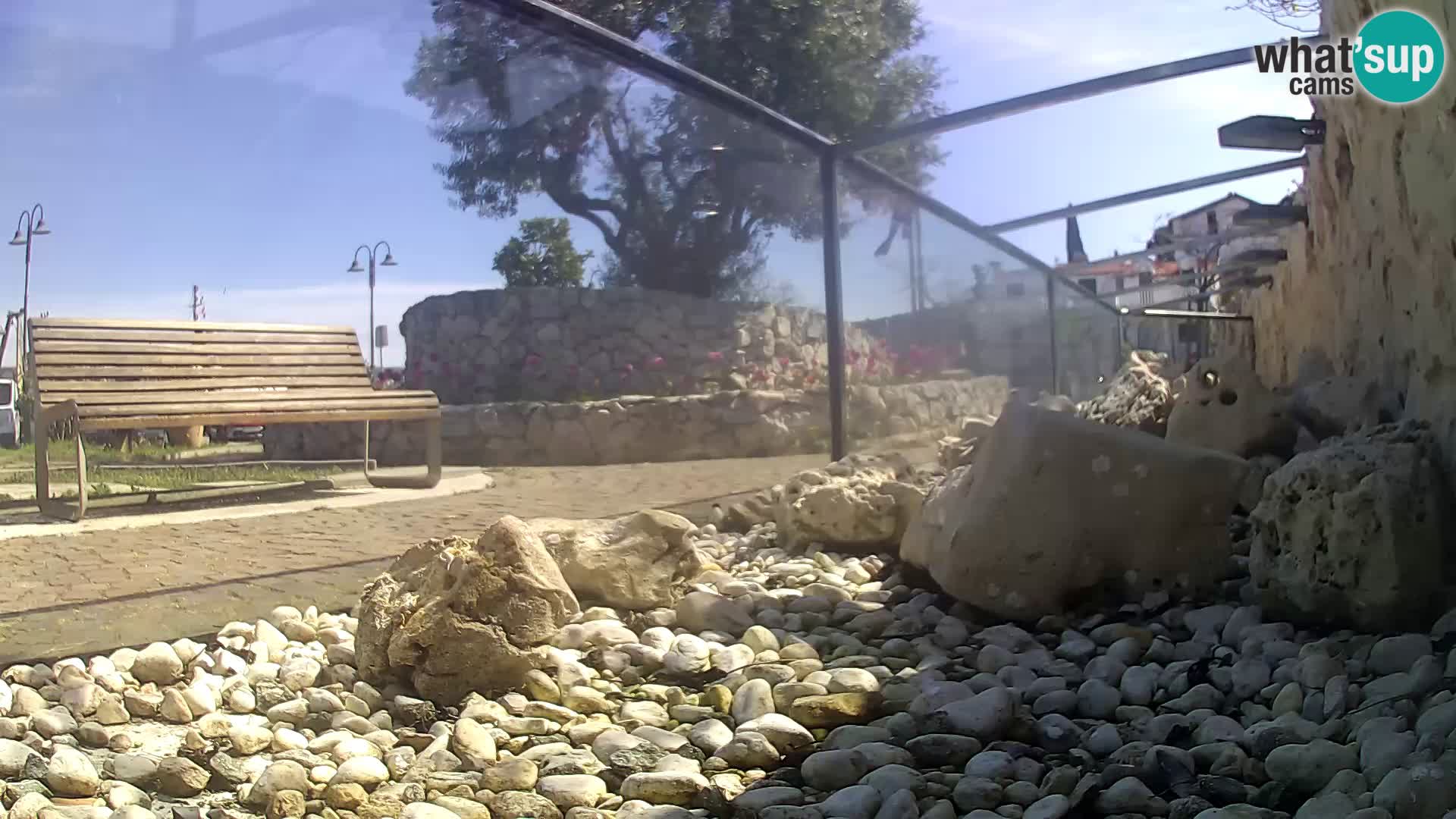 Zunanji morski akvarij Rogoznica spletna kamera Hrvaška