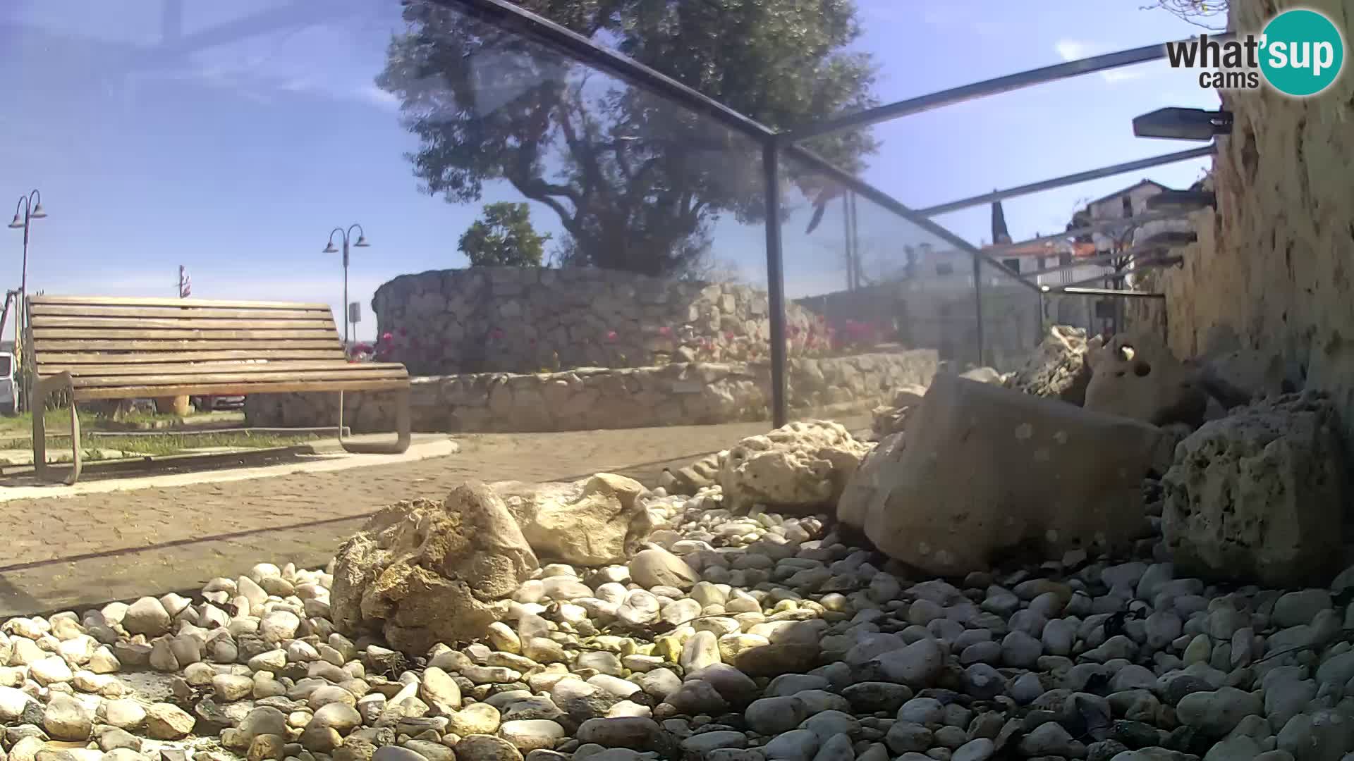 Webcam de l’aquarium marin extérieur de Rogoznica Croatie