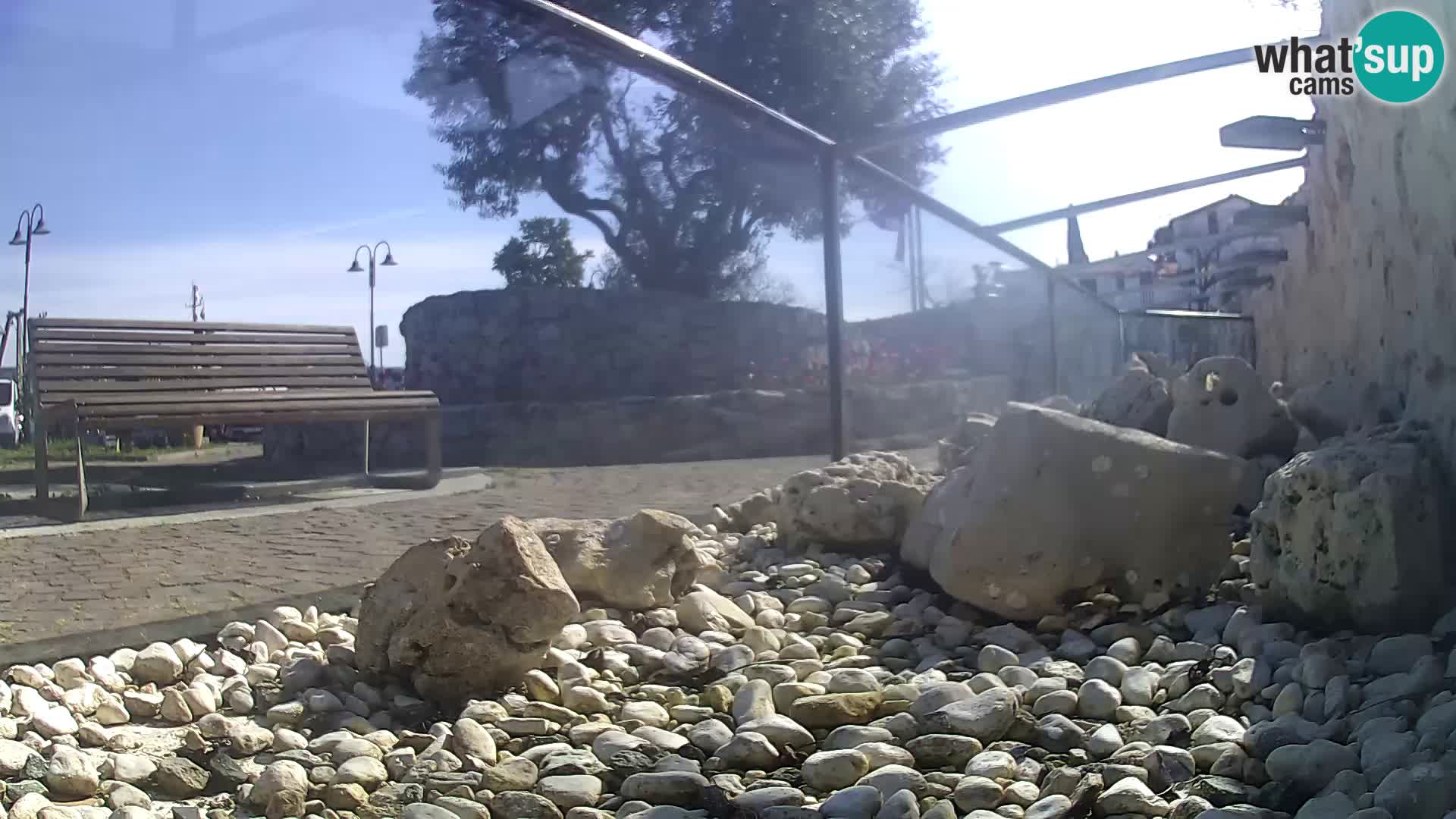 Acuario marino al aire libre Rogoznica webcam Croacia