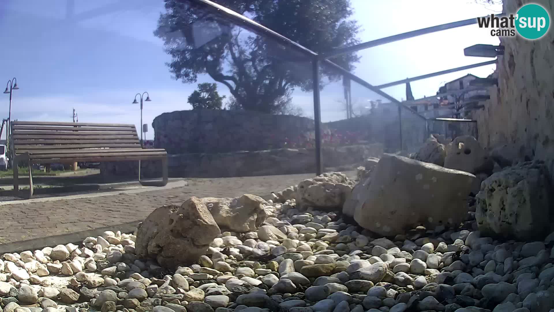 Outdoor Marine Aquarium Rogoznica webcam Croatia