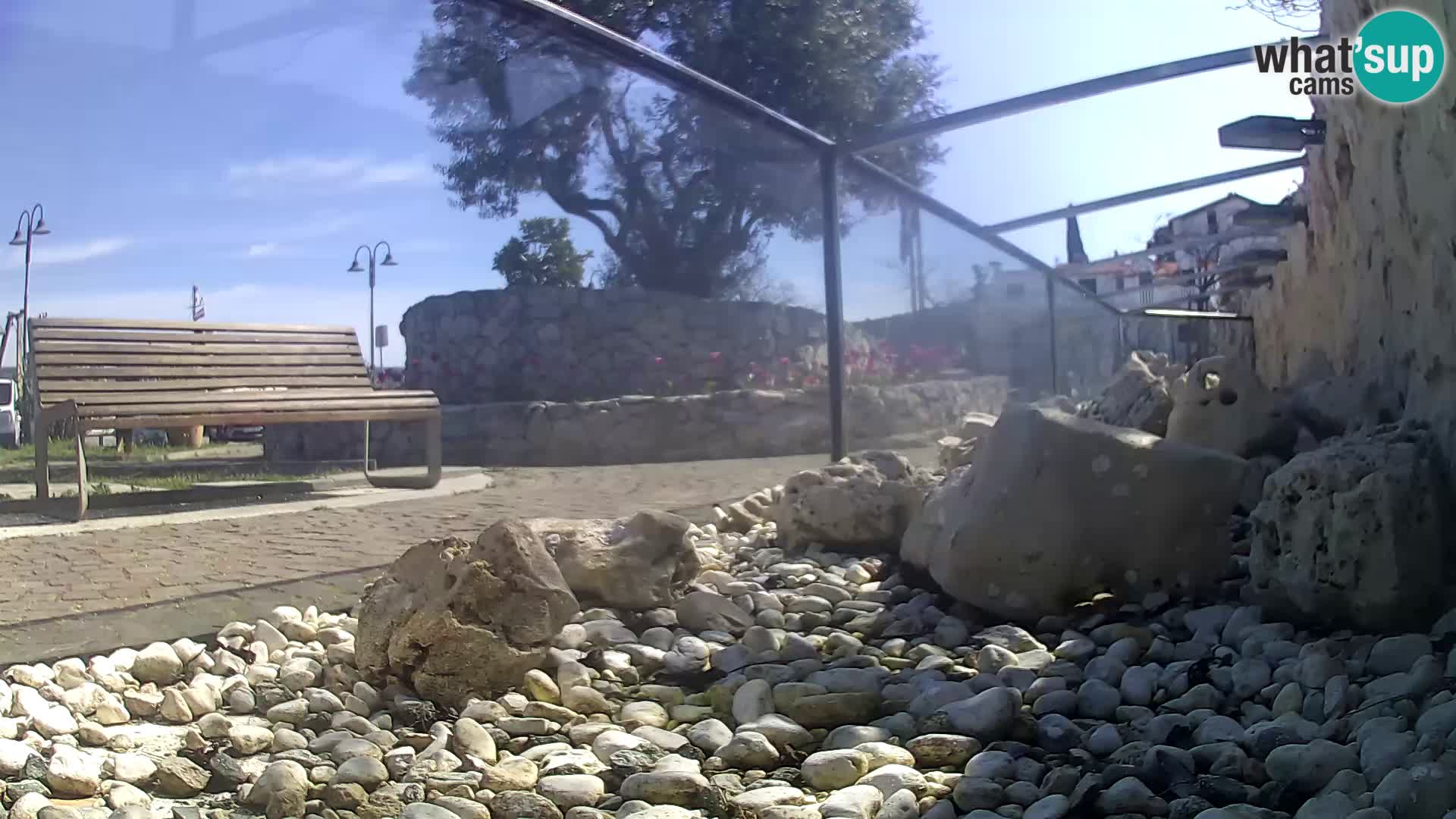 Aquario marino esterno –  Rogoznica livecam Croazia