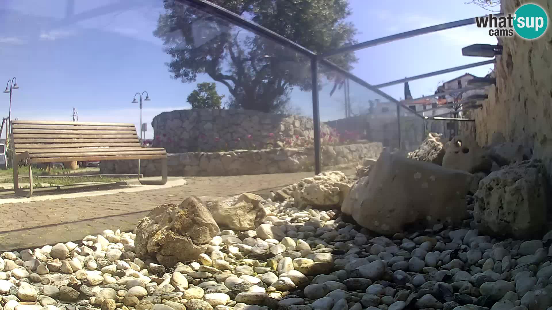 Aquario marino esterno –  Rogoznica livecam Croazia