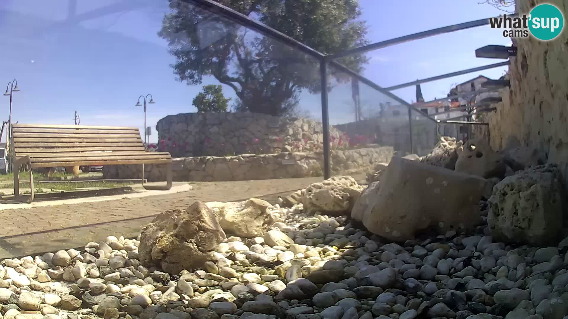 Zunanji morski akvarij Rogoznica spletna kamera Hrvaška