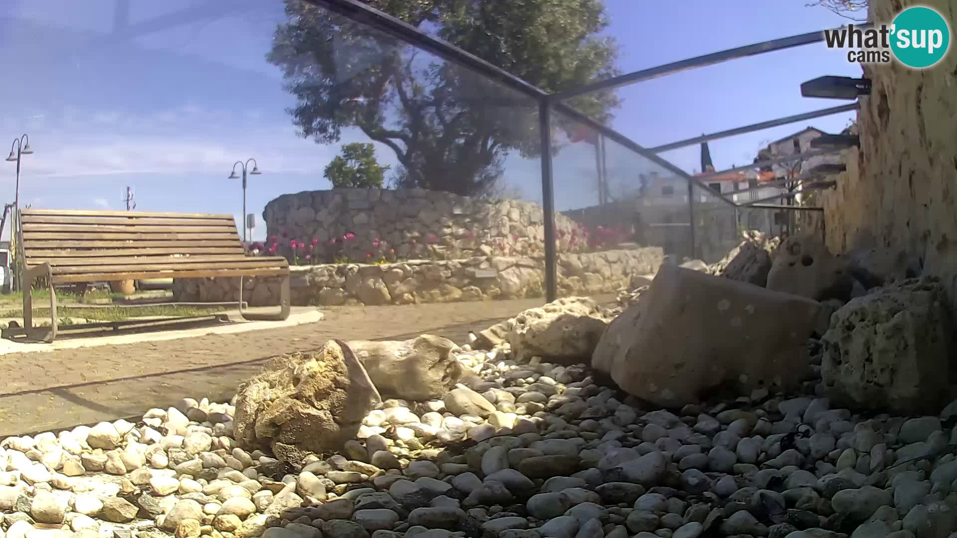 Aquario marino esterno –  Rogoznica livecam Croazia