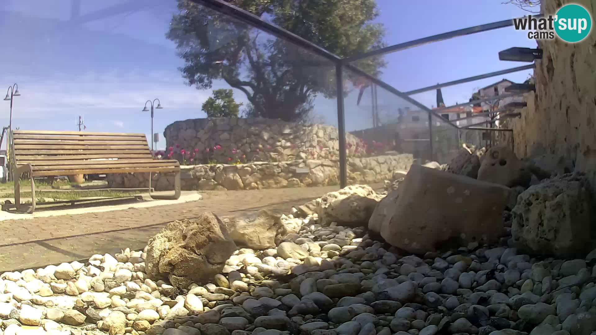 Vanjski morski akvarij Rogoznica web kamera Hrvatska