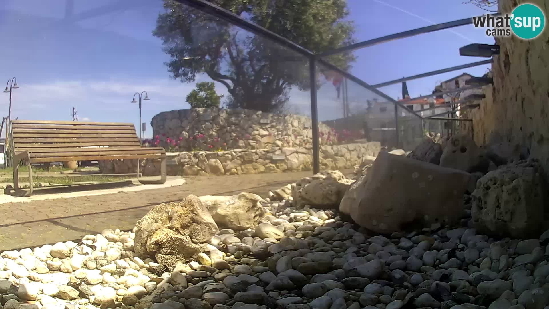 Webcam de l’aquarium marin extérieur de Rogoznica Croatie