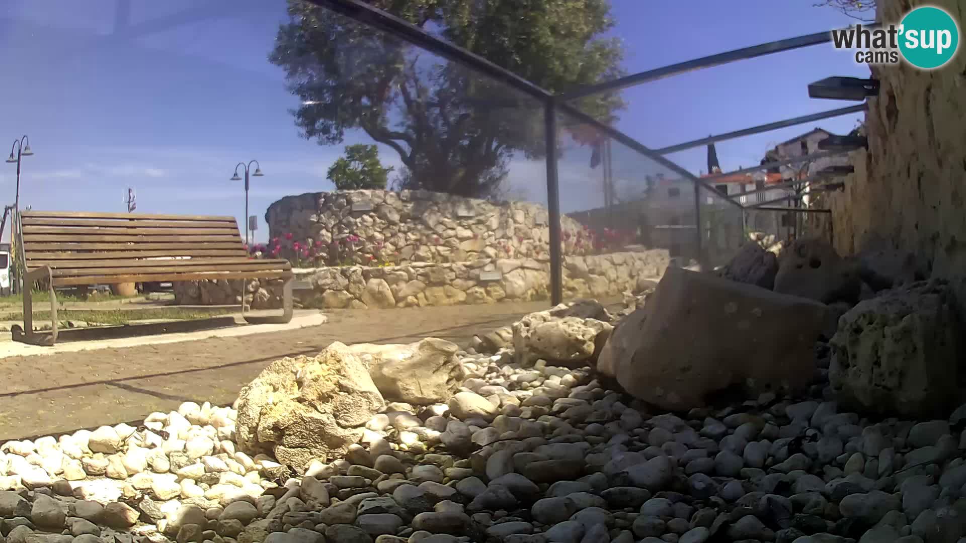 Webcam de l’aquarium marin extérieur de Rogoznica Croatie