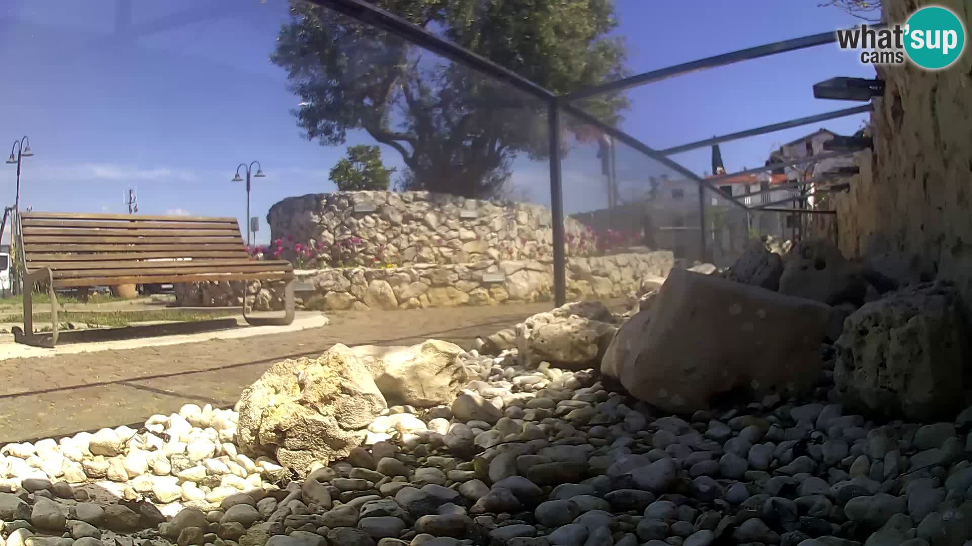 Zunanji morski akvarij Rogoznica spletna kamera Hrvaška