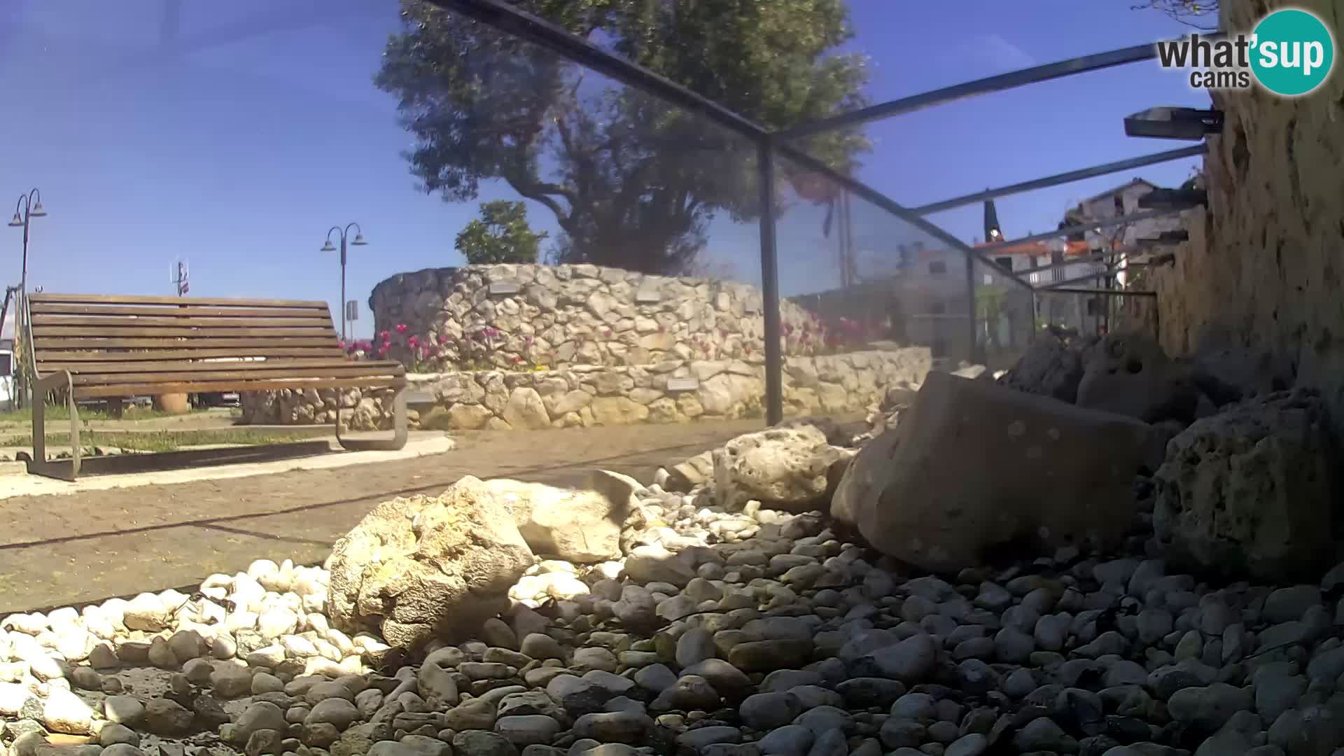 Acuario marino al aire libre Rogoznica webcam Croacia