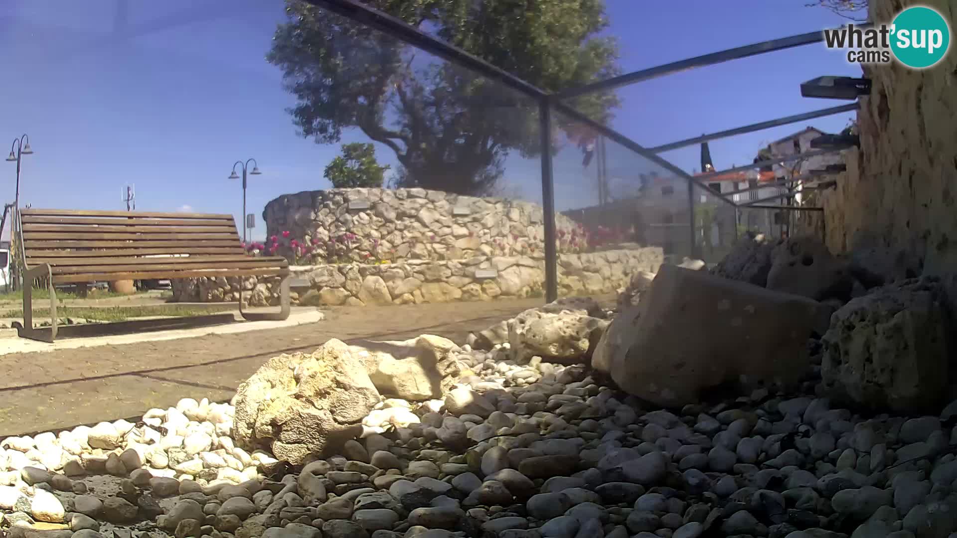 Acuario marino al aire libre Rogoznica webcam Croacia