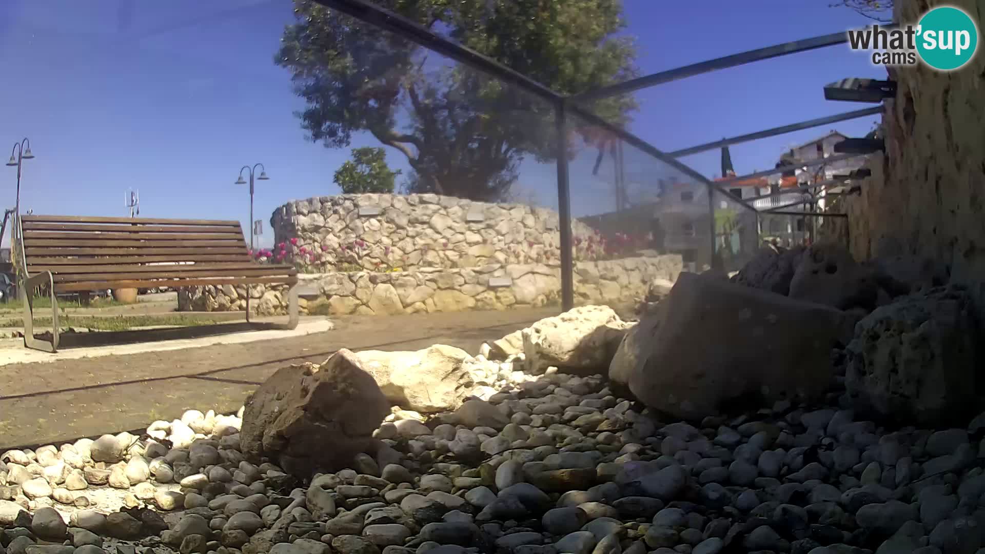 Webcam de l’aquarium marin extérieur de Rogoznica Croatie