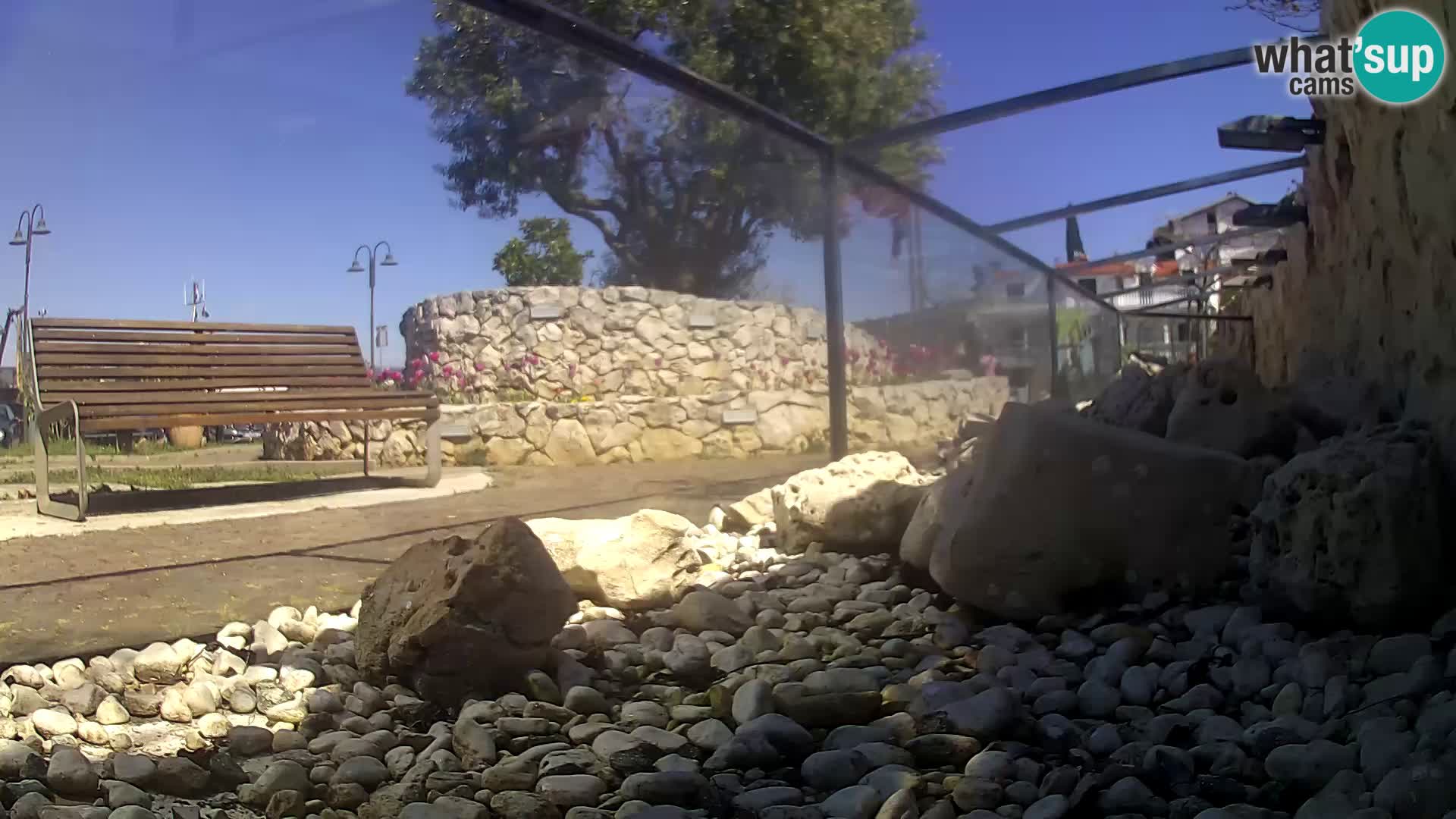 Aquario marino esterno – Rogoznica livecam Croazia