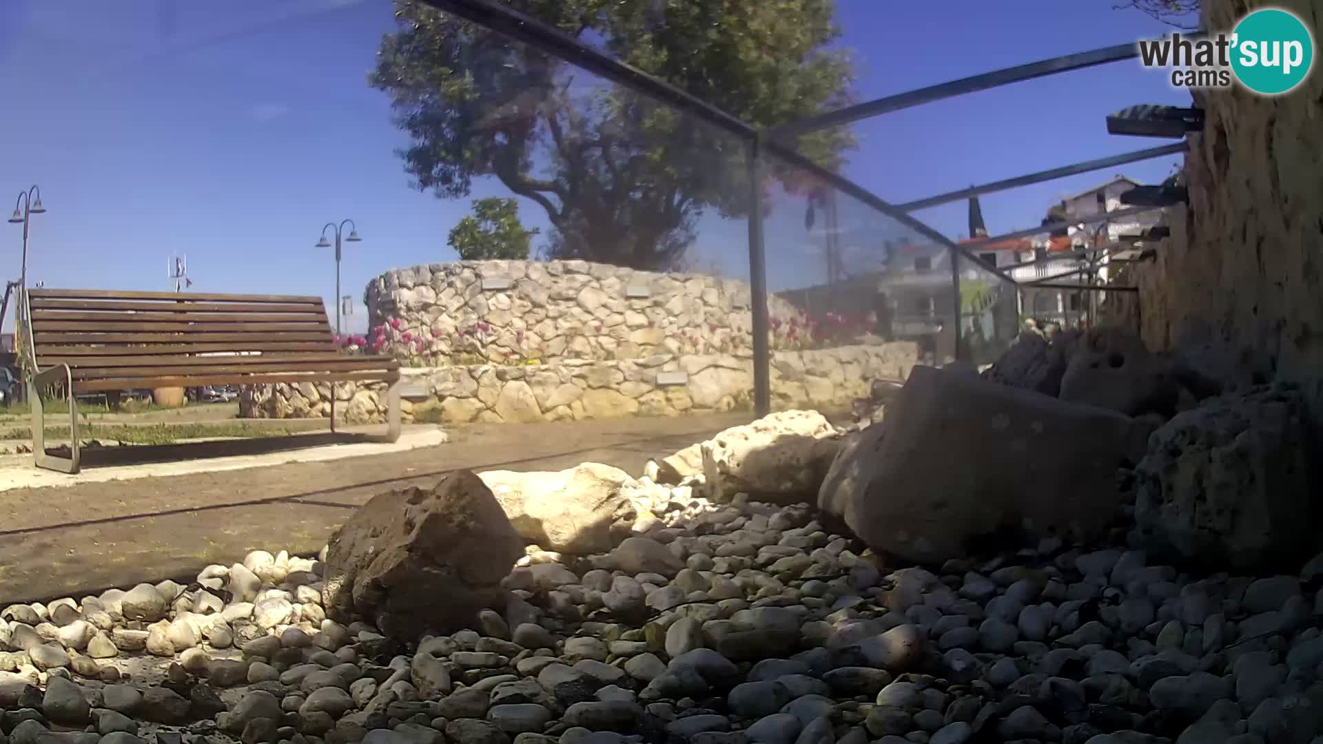 Webcam de l’aquarium marin extérieur de Rogoznica Croatie