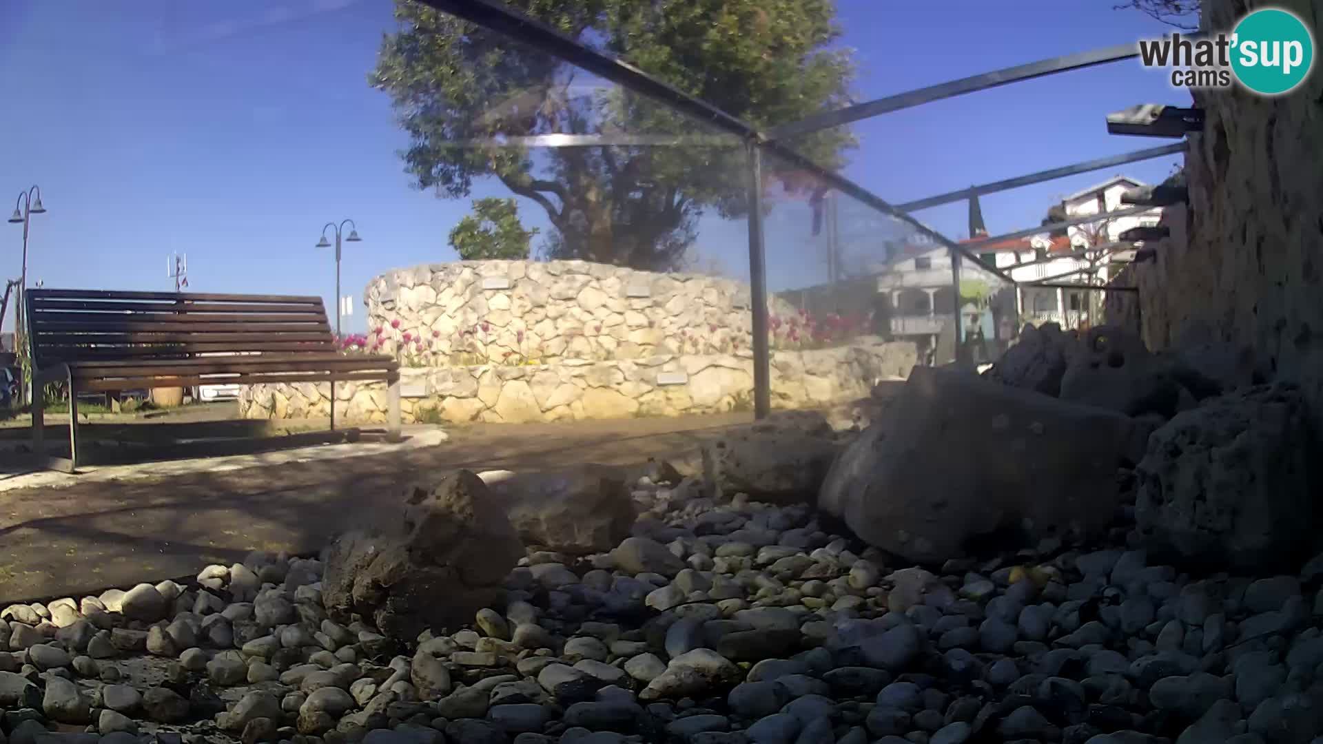 Aquario marino esterno –  Rogoznica livecam Croazia