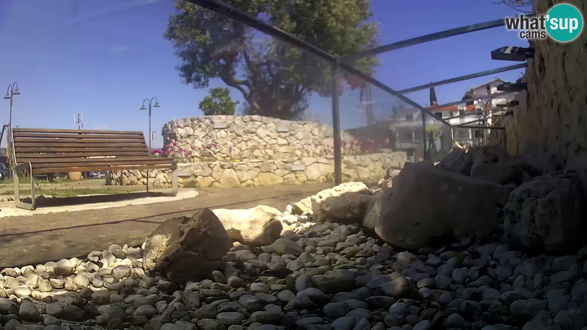 Webcam de l’aquarium marin extérieur de Rogoznica Croatie