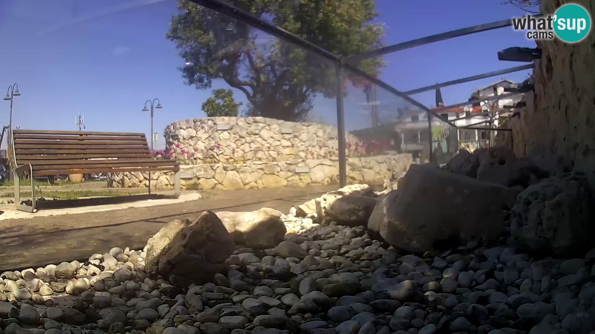 Acuario marino al aire libre Rogoznica webcam Croacia