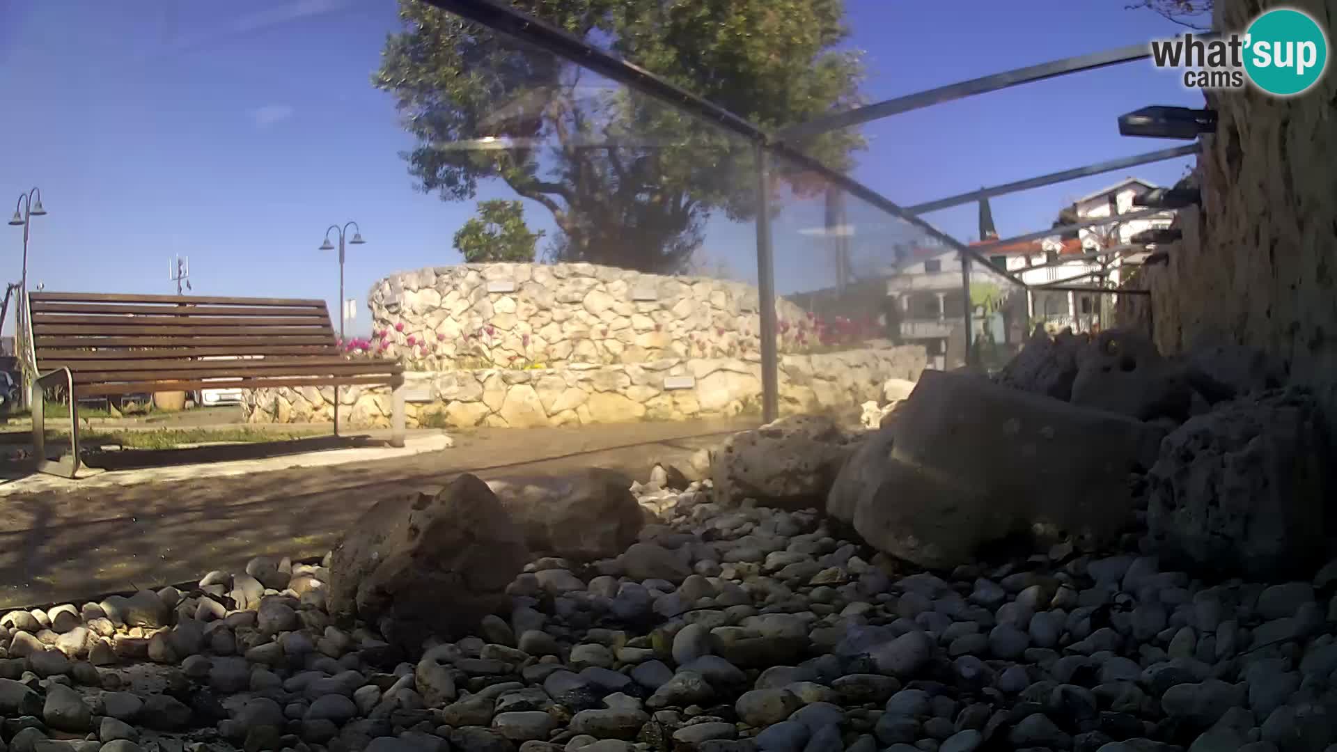 Outdoor Marine Aquarium Rogoznica webcam Croatia