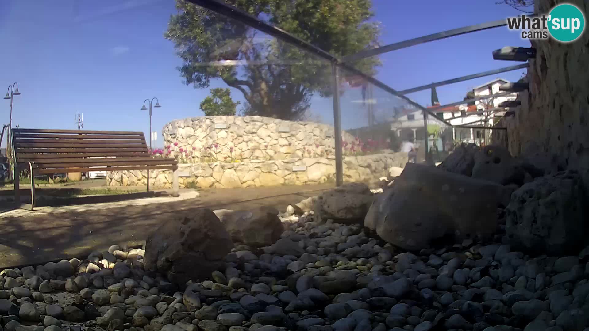 Acuario marino al aire libre Rogoznica webcam Croacia