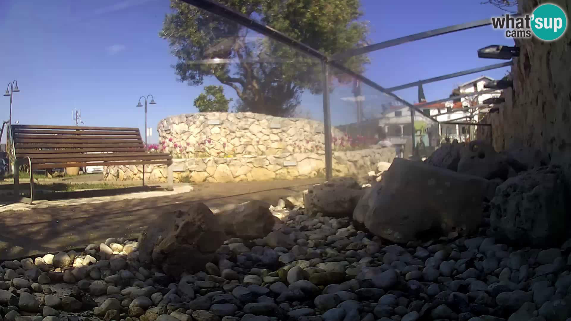 Zunanji morski akvarij Rogoznica spletna kamera Hrvaška